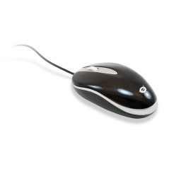 Conceptronic CLLMEASY mouse Office Ambidextrous USB Type-A Optical 800 DPI