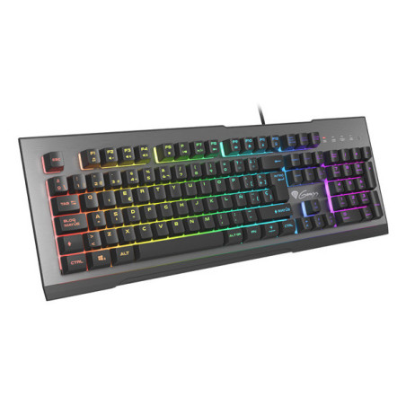 GENESIS Rhod 500 RGB keyboard Gaming USB QWERTY Spanish Black, Gray