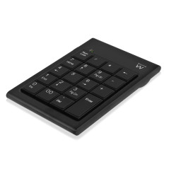 Ewent EW3102 numeric keypad PC server USB Black