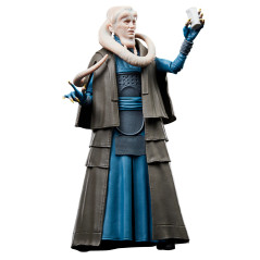 Star Wars The Black Series Bib Fortuna