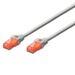 Ewent IM1031 networking cable Gray 393.7" (10 m) Cat6 U UTP (UTP)