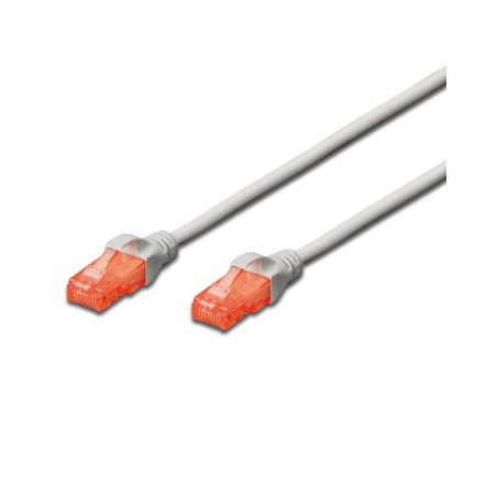 Ewent IM1031 networking cable Gray 393.7" (10 m) Cat6 U/UTP (UTP)