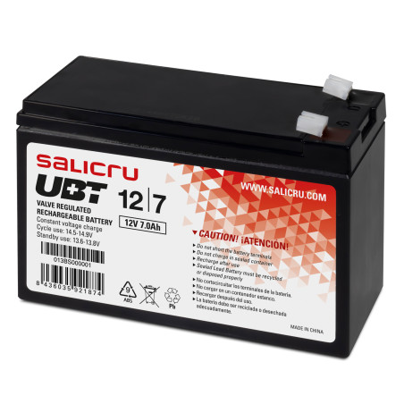 Salicru 013BS000001 batteria UPS Acido piombo (VRLA) 12 V 7 Ah