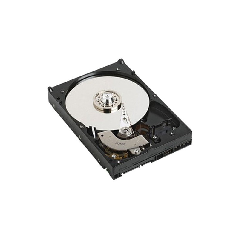 DELL NPOS - to be sold with Server only - 1TB 7.2K RPM SATA 6Gbps 512n 3.5in Cabled Hard Drive