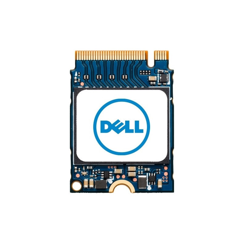 DELL AC280179 drives allo stato solido 1 TB M.2 PCI Express 4.0 NVMe DELL AC280179 drives allo stato solido 1 TB M.2 PCI Express 4.0 NVMe