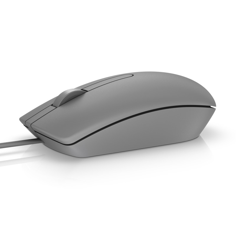 DELL MS116 mouse Ambidestro USB tipo A Ottico 1000 DPI DELL MS116 mouse Ambidestro USB tipo A Ottico 1000 DPI