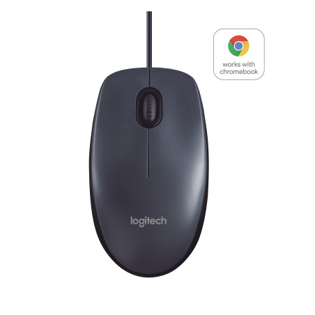 Logitech B100 mouse Office Ambidextrous USB Type-A Optical 800 DPI