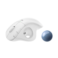 Logitech 910-006438 mouse Office Right-hand RF Wireless + Bluetooth Trackball 2000 DPI