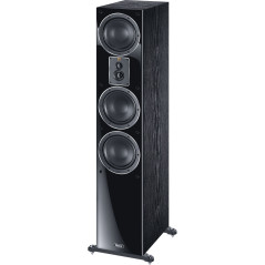 Speaker Magnat Signature 507