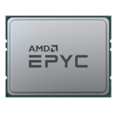 AMD EPYC 7262 - 3.2 GHz - 8 processors - 16 thread - 128 MB cache - Socket SP3 - OEM