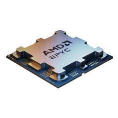 AMD EPYC 4124P - 3.8 GHz - 4 core - 8 thread - 16 MB cache - Socket AM5 - OEM