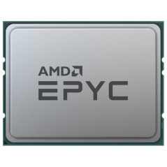 AMD EPYC 7713 - 2 GHz - 64 processori - 128 thread - 256 MB cache - Socket SP3 - OEM