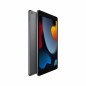 Tablet Apple iPad 10,2" A13 3 GB RAM 64 GB Grey