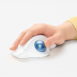Mouse raton logitech ergo m575 bluetooth & wireless blanco