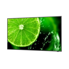 NEC MultiSync E498 124,5 cm (49") IPS 350 cd/m² 4K Ultra HD Nero 16/7