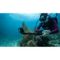 Sports Camera GoPro HERO13 Black