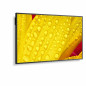 Monitor NEC 60005048 43" 4K Ultra HD LED 43" IPS 50-60 Hz Monitor NEC 60005048 43" 4K Ultra HD LED 43" IPS 50-60 Hz