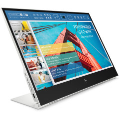 HP E-Series E14 G4 Portable Monitor