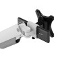 Screen Table Support Neomounts DS65S-950WH2 34" Screen Table Support Neomounts DS65S-950WH2 34"