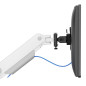 Screen Table Support Neomounts DS65S-950WH2 34" Screen Table Support Neomounts DS65S-950WH2 34"