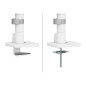 Screen Table Support Neomounts DS65S-950WH2 34" Screen Table Support Neomounts DS65S-950WH2 34"