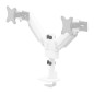 Screen Table Support Neomounts DS65S-950WH2 34" Screen Table Support Neomounts DS65S-950WH2 34"