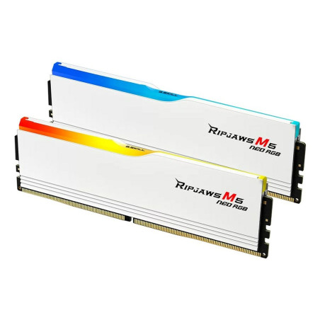 Memoria RAM GSKILL F5-6000J3036F48GX2-RM5NRW 96 GB DDR5 cl30