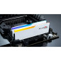 Memoria RAM GSKILL F5-6000J3036F48GX2-RM5NRW 96 GB DDR5 cl30