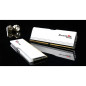 Memoria RAM GSKILL F5-6000J3036F48GX2-RM5NRW 96 GB DDR5 cl30
