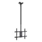 Soporte techo tooq vesa hasta 75 pulgadas 400x400mm max 60kg
