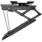 Ceiling support MacLean MC-490 75" 35 kg