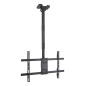 Soporte techo tooq vesa hasta 86 pulgadas 600x400mm max 60kg