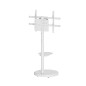 Soporte suelo con ruedas ewent vesa hasta 86 pulgadas 600x400mm max 50kg
