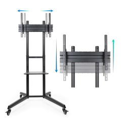 TooQ Ramsés 177,8 cm (70") Nero