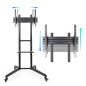 Soporte de suelo tv tooq fs1170m - b ramses 37 pulgadas -  70 pulgadas
