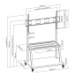 Soporte suelo con ruedas ewent vesa hasta 120 pulgadas 1000x600mm max 120kg