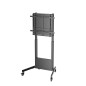 Soporte suelo con ruedas ewent vesa hasta 100 pulgadas 800x600mm max 95kg