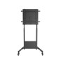 Soporte suelo con ruedas ewent vesa hasta 100 pulgadas 800x600mm max 95kg