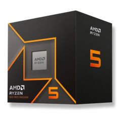 AMD Ryzen 5 9600