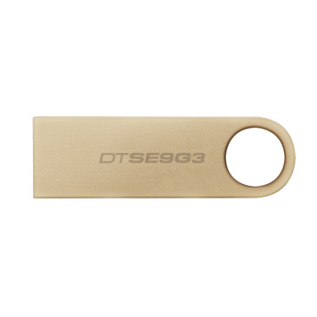 Kingston Technology DataTraveler 256GB 220MB/s Drive USB 3.2 Gen 1 in Metallo SE9 G3