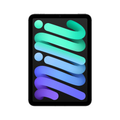 IPAD MINI WI-FI CL 256GB SP GR