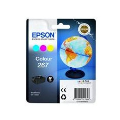 Cartucho tinta epson 267 c13t26704010 color wf - 100w -  planeta tierra