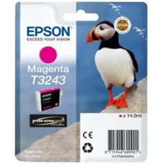 Cartucho tinta epson c13t32434010 magenta ultrachrome hi - gloss2