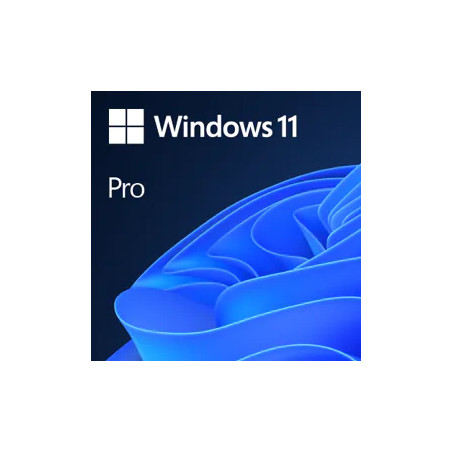 Windows 11 pro 1 licencia 64 bit todos los idiomas esd (descarga directa)