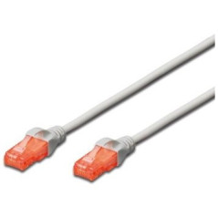 Ewent IM1024 networking cable Red 196.9" (5 m) Cat6 U UTP (UTP)
