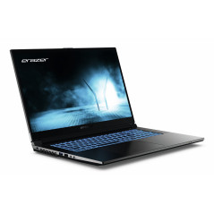 Erazer MD62652 Intel® Core™ i5 i5-12450H Laptop 17.3" Full HD 16 GB DDR4-SDRAM 512 GB SSD NVIDIA GeForce RTX 4050 Wi-Fi 6E
