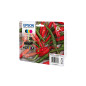 Multipack cartucho epson 503xl Multipack cartucho epson 503xl
