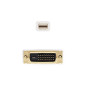 Cable nanocable conversor mini dp a dvi mini dp - m - dvi - m blanco 2.0 m Cable nanocable conversor mini dp a dvi mini dp - m - dvi - m blanco 2.0 m