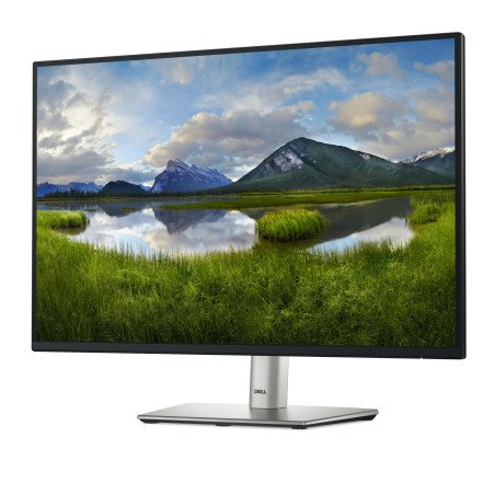Monitor dell p2425 24 pulgadas wuxga 100hz