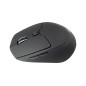 Conceptronic LORCAN02B Ergo ratón Oficina mano derecha Bluetooth Óptico 1600 DPI Conceptronic LORCAN02B Ergo ratón Oficina mano derecha Bluetooth Óptico 1600 DPI